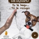 Cartel campaña recogida heces para el Ajuntament de Massamagrell